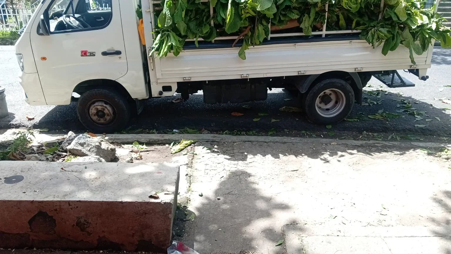 Botamos ripio hacemos mudanza botamos basura, foto 1 de 2